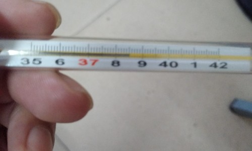 吃什么避孕药可以有效避孕-吃什么能起到避孕效果网 | 吃什么会让避孕药失效,吃什么避孕药可以有效避孕